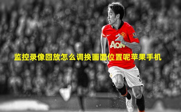 监控录像回放怎么调换画面位置呢苹果手机