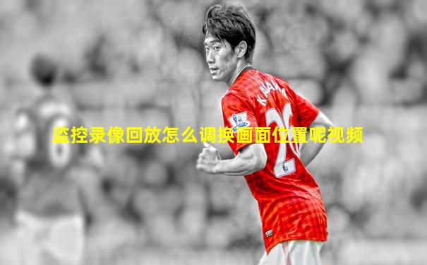 监控录像回放怎么调换画面位置呢视频