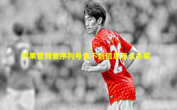 苹果官网查序列号查不到信息怎么办呢