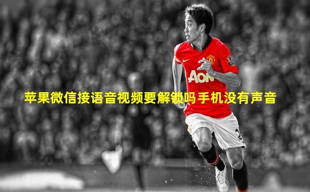 苹果微信接语音视频要解锁吗手机没有声音