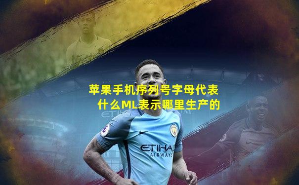 苹果手机序列号字母代表什么ML表示哪里生产的