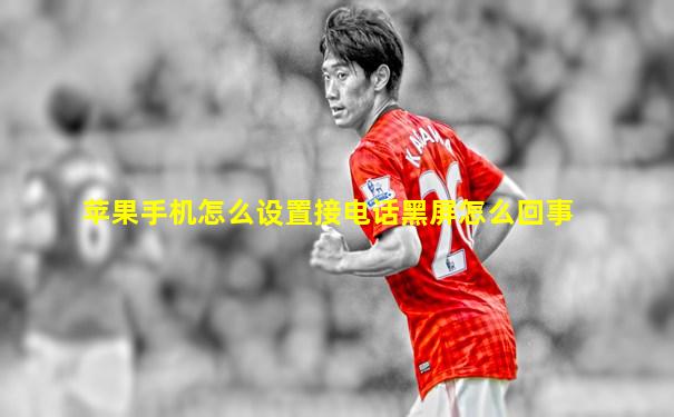 苹果手机怎么设置接电话黑屏怎么回事
