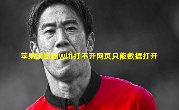 苹果浏览器wifi打不开网页只能数据打开