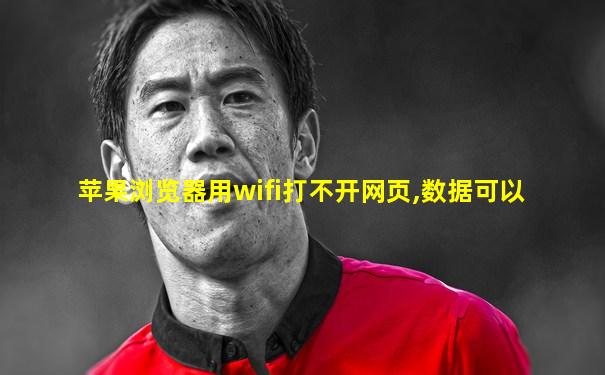 苹果浏览器用wifi打不开网页,数据可以